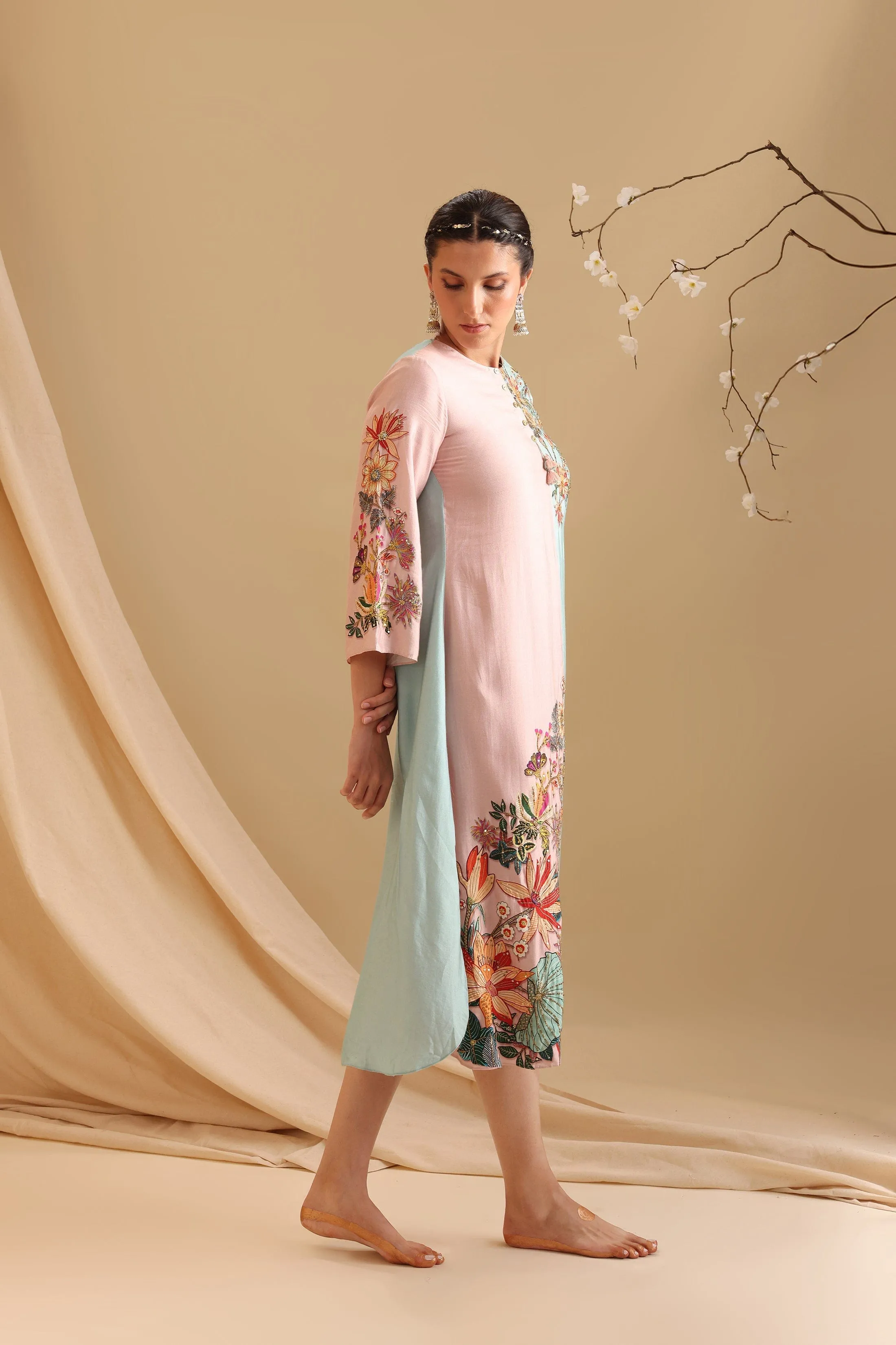 Aarani Embellished Colourblock Dress