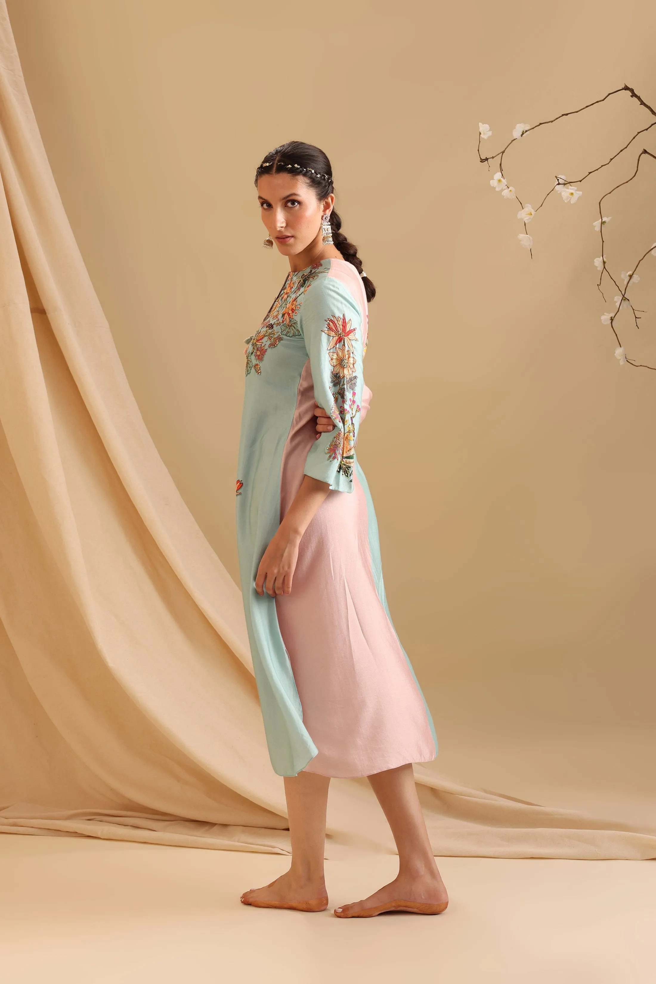 Aarani Embellished Colourblock Dress