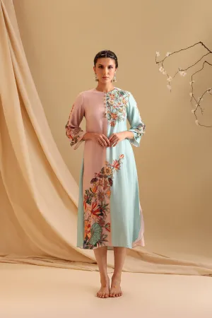 Aarani Embellished Colourblock Dress