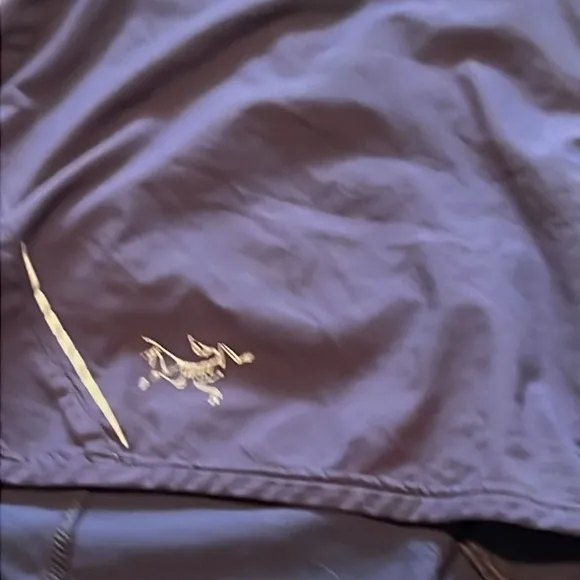 Arc’teryx hottie shorts.