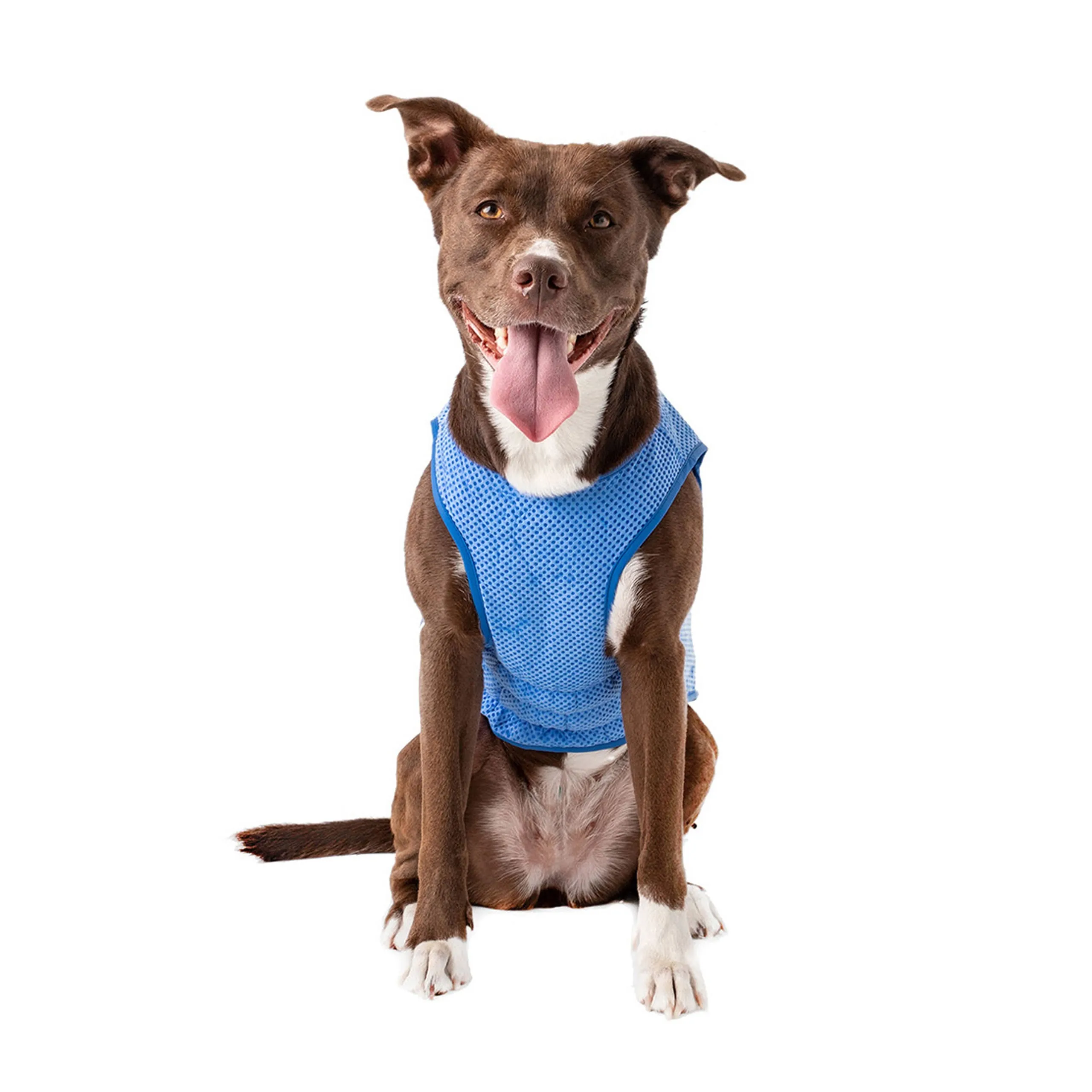 Elasto-Fit Dog Cooling Ice Vest