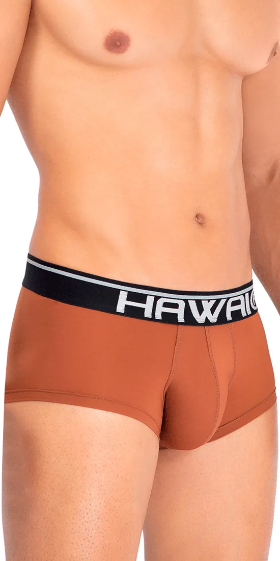 Hawai 42181 Solid Microfiber Briefs Amber