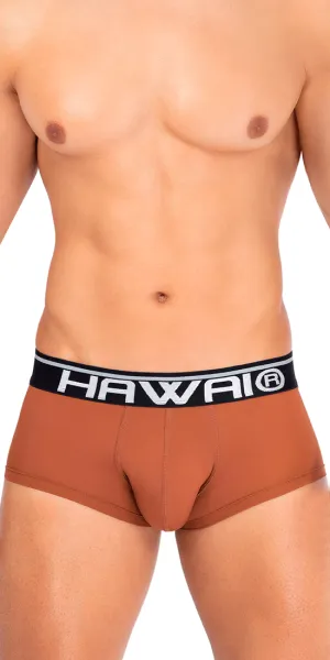 Hawai 42181 Solid Microfiber Briefs Amber
