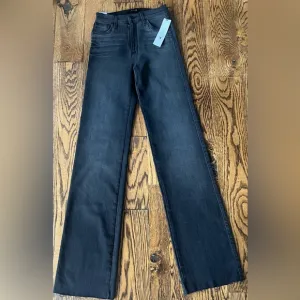 Joes Jeans Size 24 The Molly High Rise Flare Raw Hem NWT