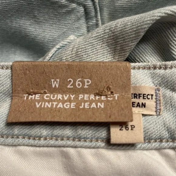 Madewell The Petite Curvy Perfect Vintage Jean Chestnut Wash women Size 26P NWT