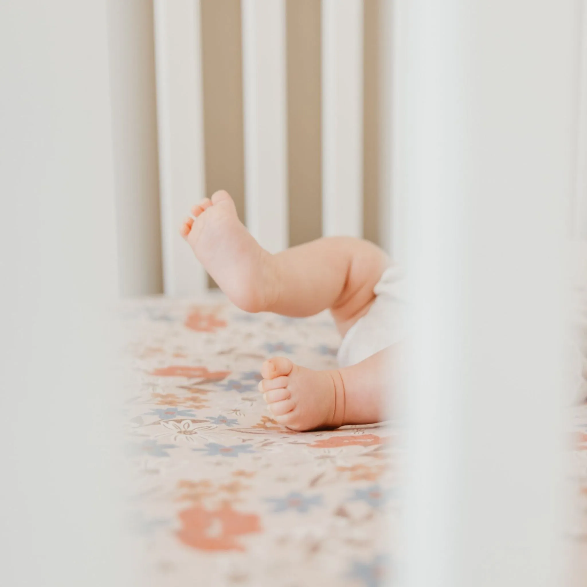Premium Knit Fitted Crib Sheet - Eden