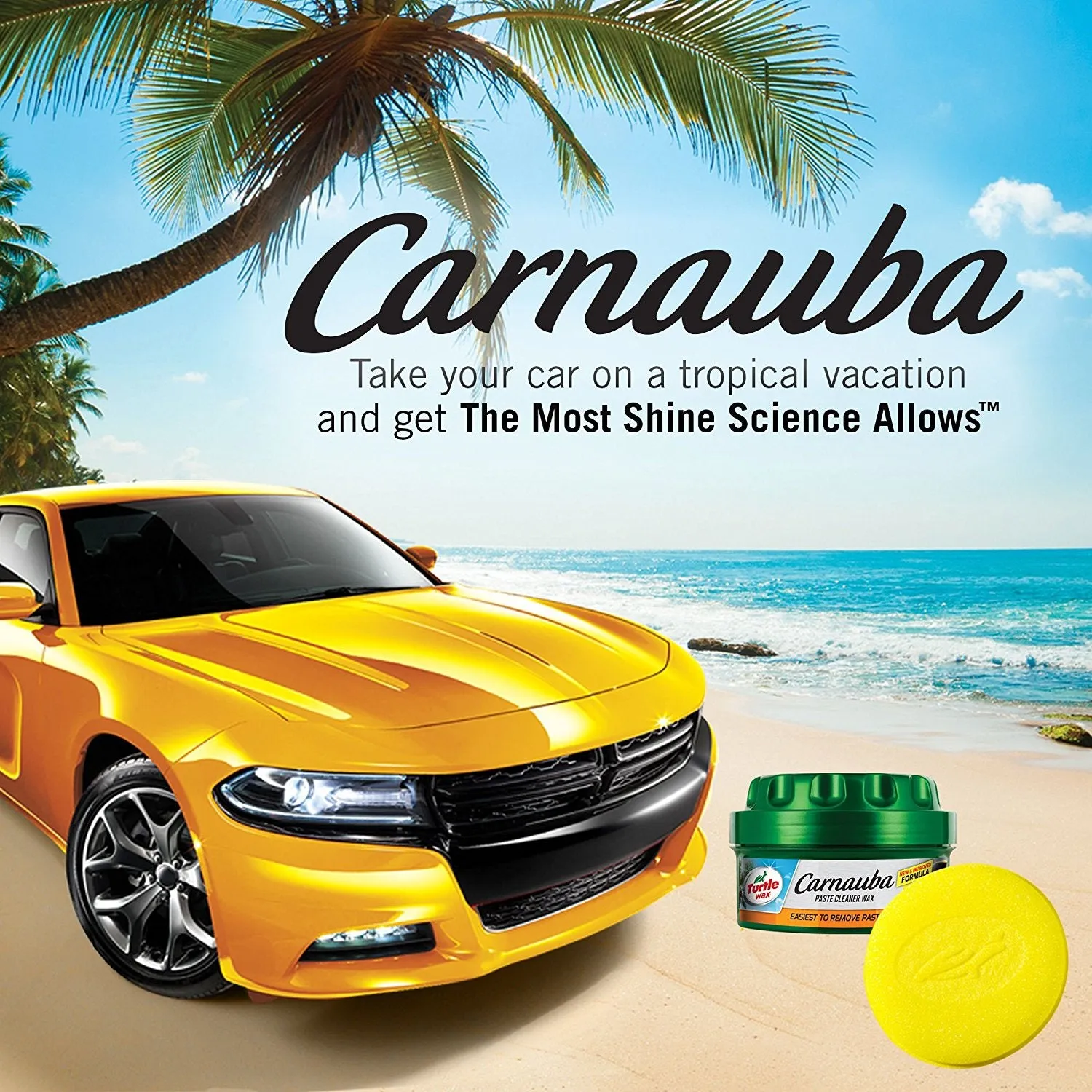 Turtle Wax Carnauba Cleaner Paste Wax - 14 oz.