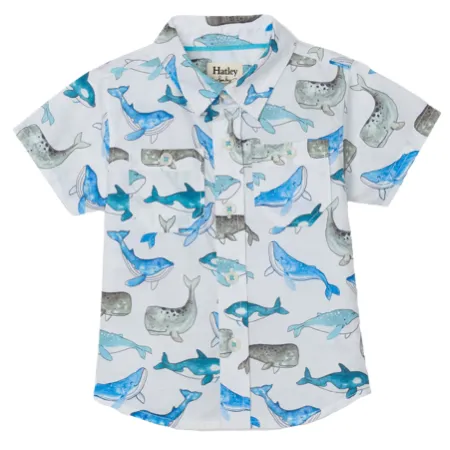 Whale Print Shirt - Retired