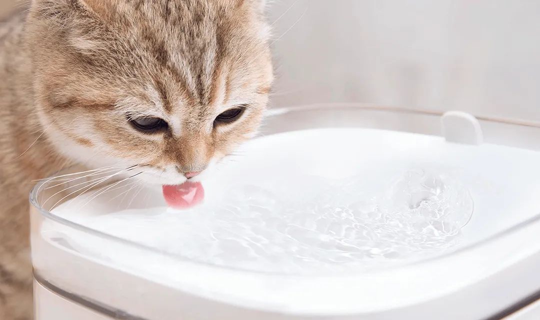 Xiaomi - Smart Pet Fountain UK