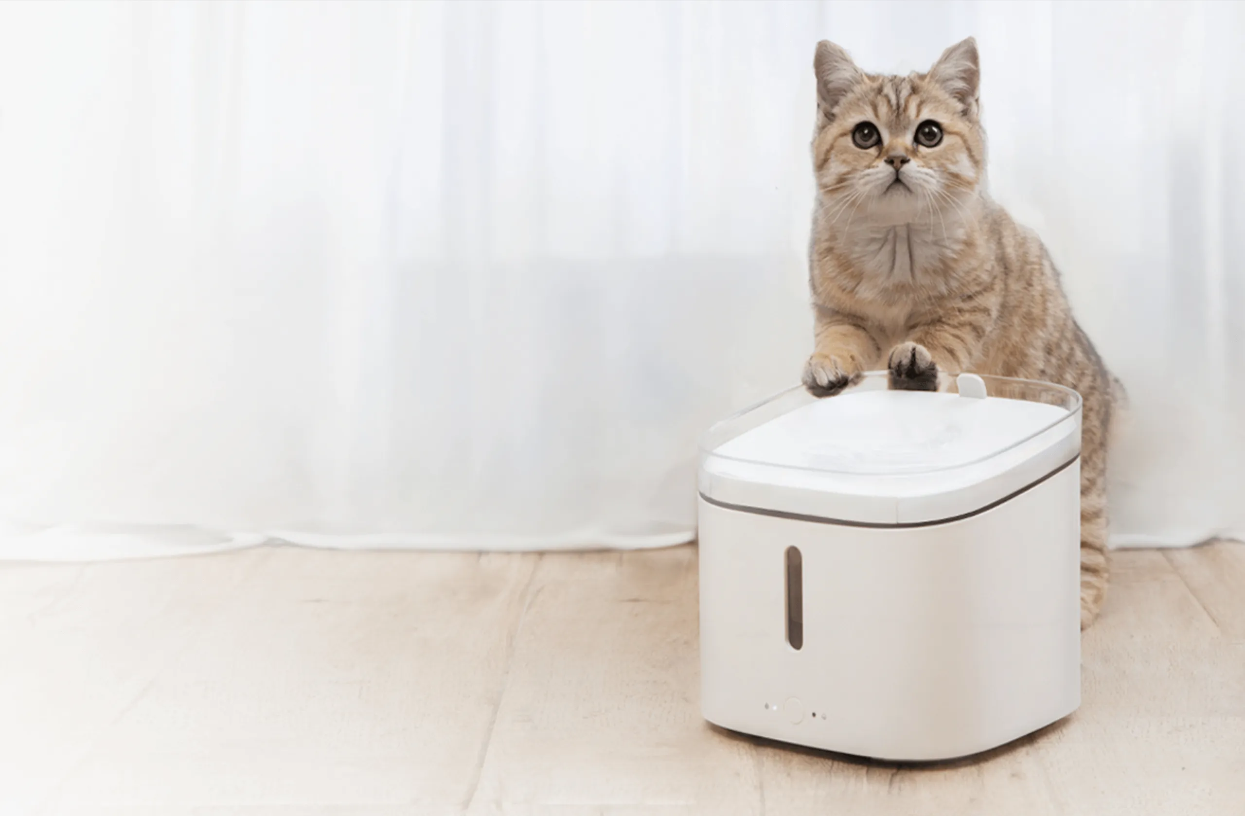 Xiaomi - Smart Pet Fountain UK